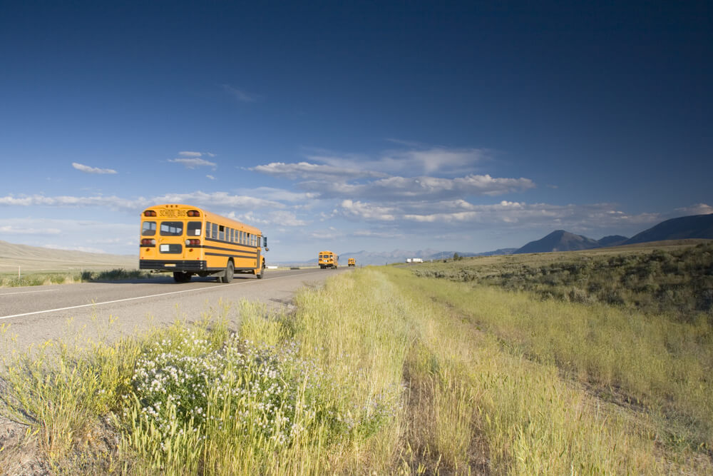 School buses driving along a rural Idaho highway, illustrating the risk of bus accidents and the need for a Boise bus accident lawyer.